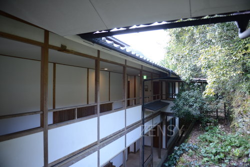 D4X_7679.JPG