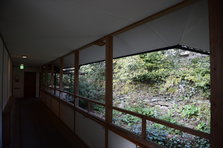 D4X_7680.JPG