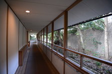 D4X_7682.JPG