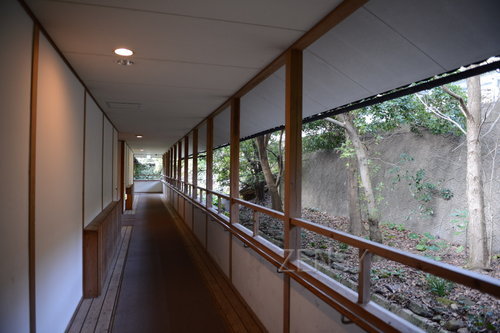 D4X_7682.JPG