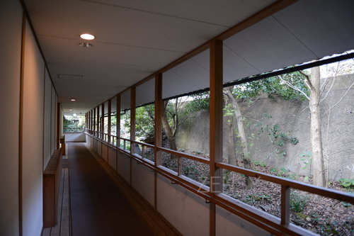 D4X_7683.JPG