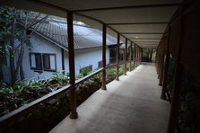 D4X_7687.JPG