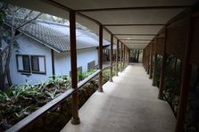 D4X_7689.JPG