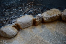 D4X_7695.JPG