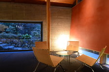 D4X_8045.JPG