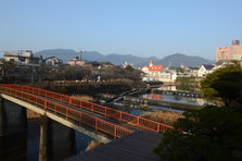D4X_8285.JPG