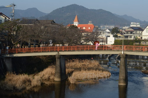 D4X_8343.JPG