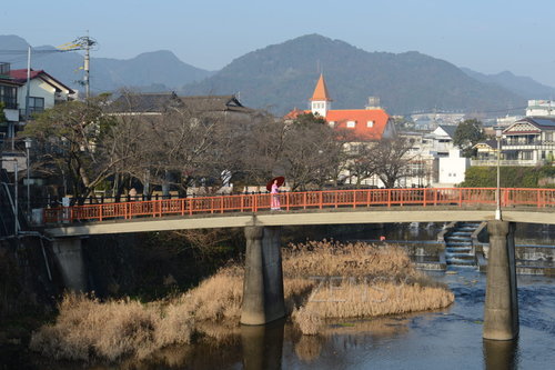 D4X_8348.JPG