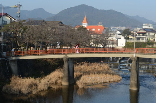D4X_8349.JPG