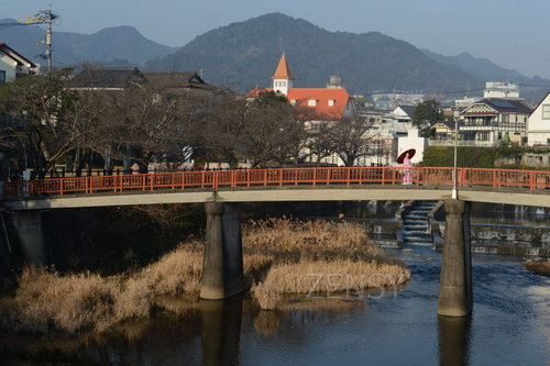 D4X_8354.JPG