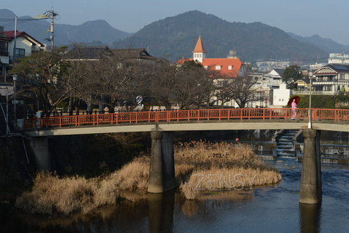 D4X_8355.JPG