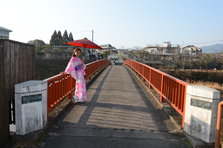 D4X_8363.JPG