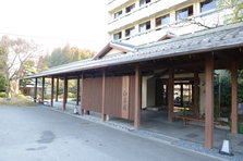 D4X_8558.JPG