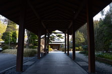 D4X_8570.JPG
