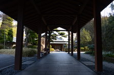 D4X_8571.JPG