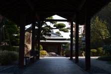 D4X_8572.JPG