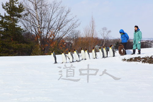 100312北海道0142