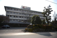 D4X_8772.JPG