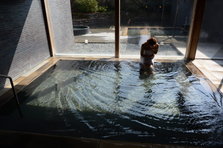 D4X_8845.JPG