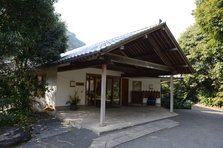 D4X_8900.JPG