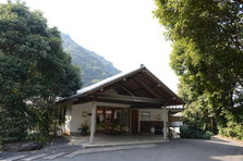 D4X_8901.JPG