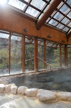 D4X_8979.JPG