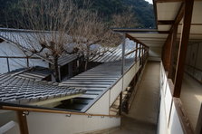D4X_8984.JPG