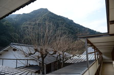 D4X_8985.JPG