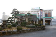 D4X_9167.JPG
