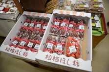 D4X_9332.JPG
