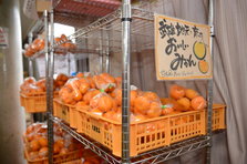 D4X_9336.JPG
