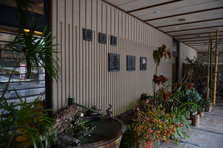 D4X_9343.JPG