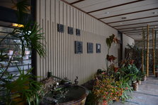D4X_9344.JPG