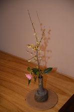 D4X_9485.JPG