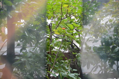 D4X_9503.JPG
