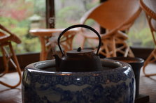 D4X_9555.JPG