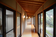 D4X_9710.JPG