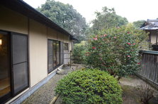 D4X_9711.JPG