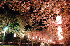 2_tadamoto-park-night.jpg