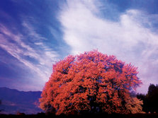 image13.jpg
