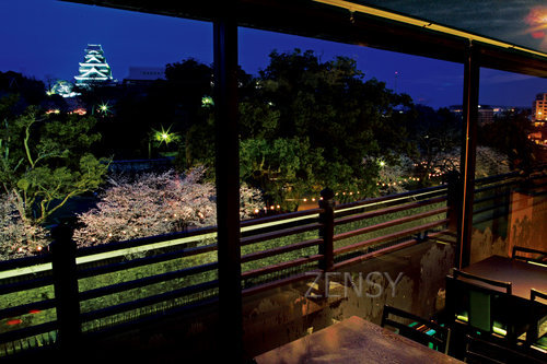 桜風景 (10).jpg