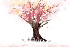 樱花-2.jpg