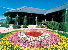 _images_dlService_dlPhoto2_1.jpg