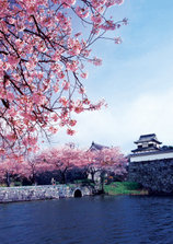 B1_fukuoka_all_003.jpg