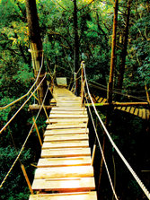 DSCN6918.jpg