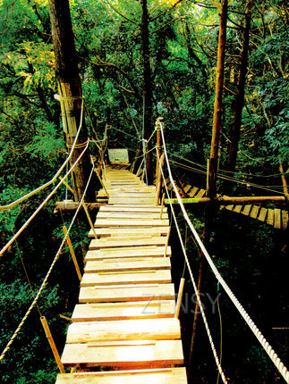 DSCN6918.jpg