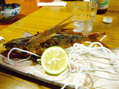 DSCN7012.jpg