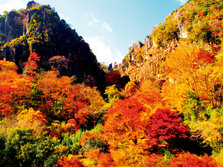游记-佐贺2.jpg