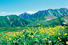 游记-大井3.jpg