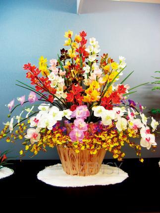 20130123.jpg